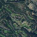 Fall patient reported near Black Nugget Lane