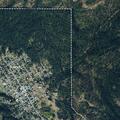 Contractor requests medical evaluation at woods site
