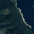 Bear reported near Kachess Road in Naches area