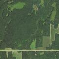 Controlled burn in woods near 210th Street