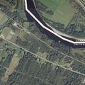 Loose large dogs reported near Main Street home