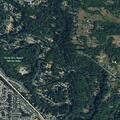 Group of juveniles throwing items into roadway