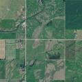 Loose cattle reported on Gallagher and Lily roads