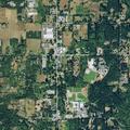 Person in mental health crisis feeling suicidal with alcohol withdrawal near Vashon Hwy SW