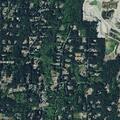 Male in sixties needs medical help at Minterbrook Road