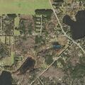 Fallen tree blocking lanes on Lost Lake Road