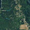 Juveniles on e-bikes riding in traffic on Vashon