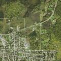 Person treated for dog-bite injuries in Chisholm