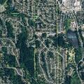 Tree blocking all lanes of 127th Avenue