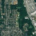 Woman hitting tree with machete in Renton