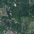 Person reported falling near South Carlin Bay Road
