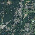 Physical domestic dispute on Seabeck Highway