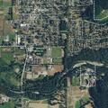 Transient male unconscious by gas pumps in Carnation