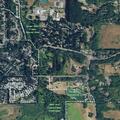 Juvenile located at picnic area in Redmond