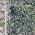Child shaking with abnormal eye movements on Canfield Ave