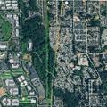 Woman running into road, grabbing vehicles in Bothell