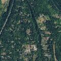 Tree blocking Welch Road near Snohomish area