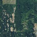 82-year-old male falls on trail behind Chimacum cottage