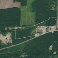 Animal complaint reported in Forks