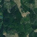 Unattended campfire reported near Blacktail Trail