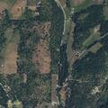 Shed and trees on fire at Elk property
