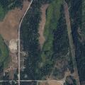 Deer cleared from roadway on Deer Valley