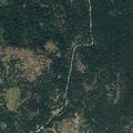 Wildfire notifications on Scott Road and Abley Road