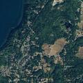 Man treated for back spasms near Seaview Way in Anacortes