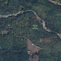 Animal complaint near South Cascade Road