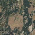 89-year-old woman with chest pain at Finley Gulch Rd