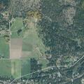 Person with overdose near Pine Street in Rocky Point