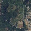 Person having a seizure near Smackout Pass Road