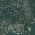 Small brush fire burns into dead tree at camp
