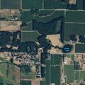 Person bleeding near Farm Drive in Ferndale