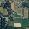 Person suffering from abdominal pain at Birch Bay-Lynden Road