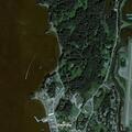 Smoke reported near Marine Vista Street property