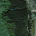 Possible suicidal person reported near Vista Avenue in Seward