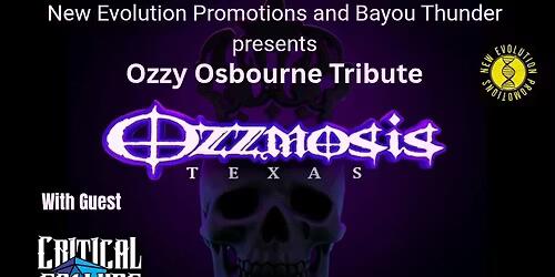 ミュージック OZROSAURUS / Rhyme & Blues Tour Final RHYME & BLUES TOUR FINAL - LIVE at YOKOHAMA BLITZ