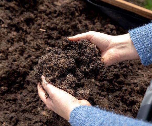 How to Make Compost Tea for a Fast-Acting Organic Fertilizer That Gives ...