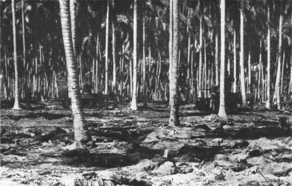 Al Schmid: The US Marine who continued to man his machine gun after ...
