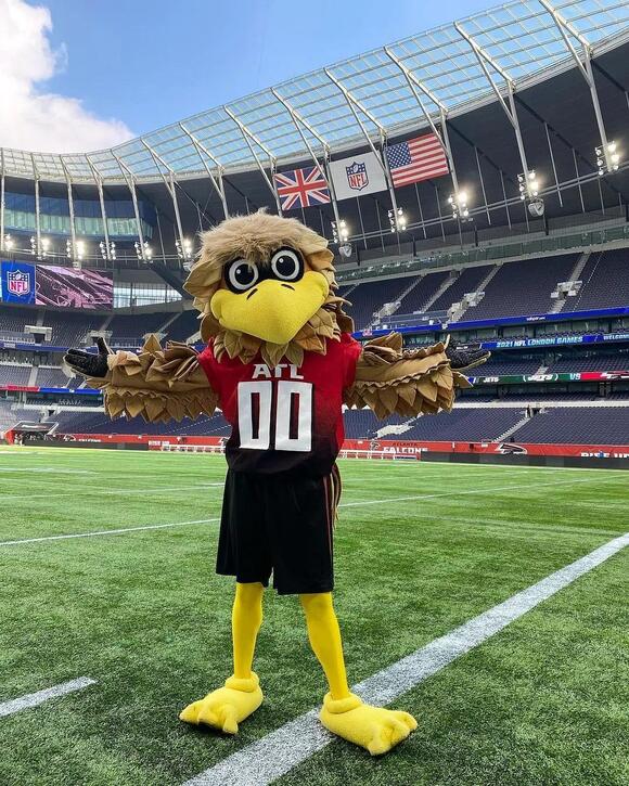 NFL Teams With Bird Mascots: Meet the Feathery Franchises Soaring in ...