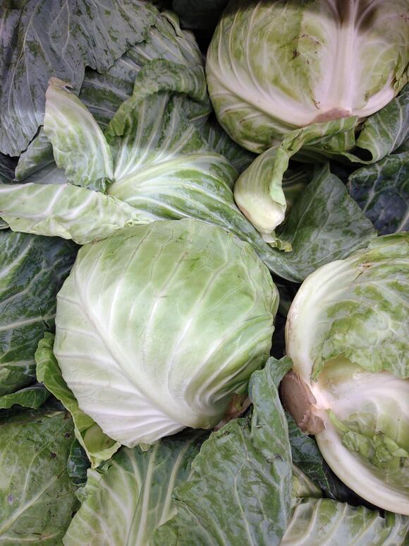 Stop Overcooking Cabbage. These Methods Work Better. - NewsBreak