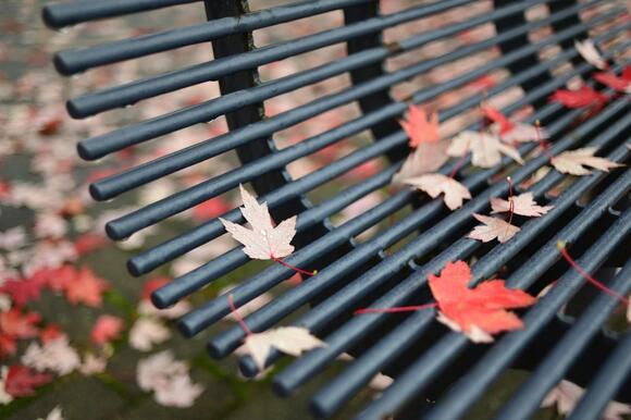 When Does Colorado Fall Back for Daylight Saving Time? - NewsBreak