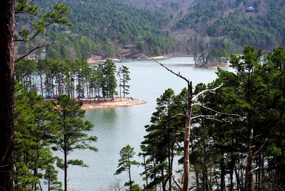 The Most Snake-Infested Lakes in Arkansas - NewsBreak