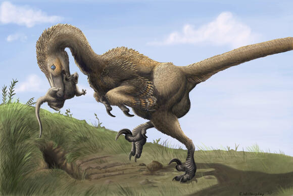 Raptor Revolution: Meet the Feathered Predators of the Late Cretaceous ...