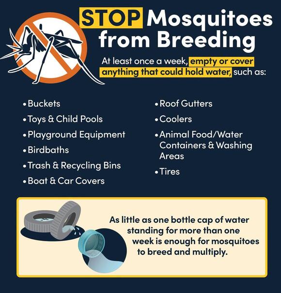 Dengue Emergency Extended in Pinellas County - NewsBreak