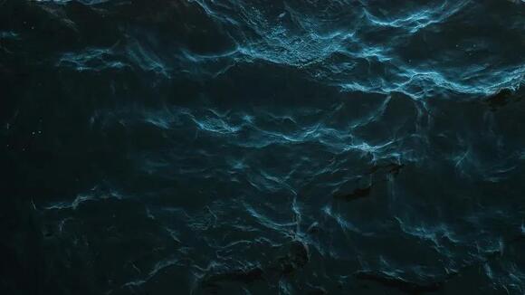 The Ocean’s Deepest Trenches Are Not Empty: New Species Discovered ...