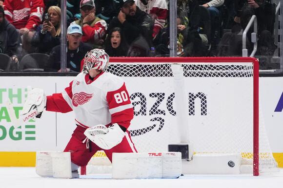 Red Wings storm back in third period, but lose in shootout to Kraken