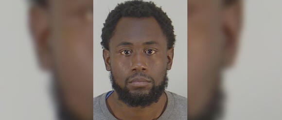 Lake County deputy apprehends man after fleeing from police in high ...