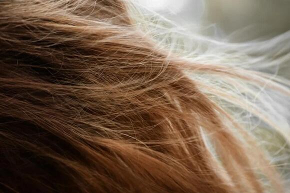 Why Cutting Your Hair Doesn't Hurt but Pulling It Does - NewsBreak